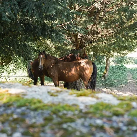 La Mouline Maison d'hôtes Labastide-du-Vert