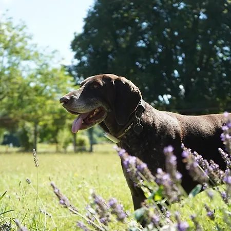 La Mouline 3* Labastide-du-Vert