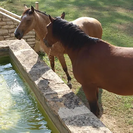 Maison d'hôtes La Mouline Labastide-du-Vert