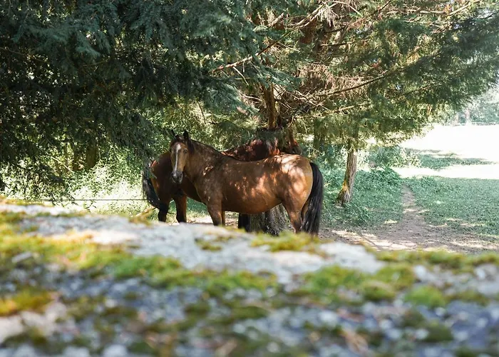 La Mouline Konukevi Labastide-du-Vert