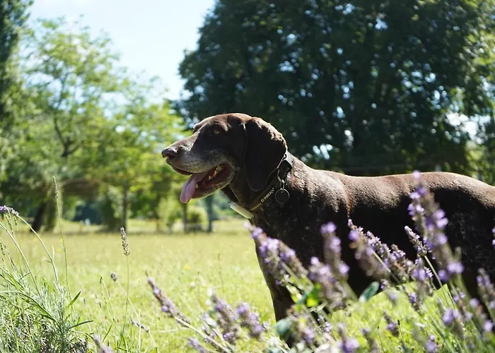 La Mouline 3* Labastide-du-Vert